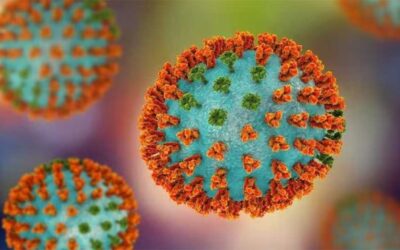 H3N2 and H1N1, among other viruses, drive the surge in viral infections in the country